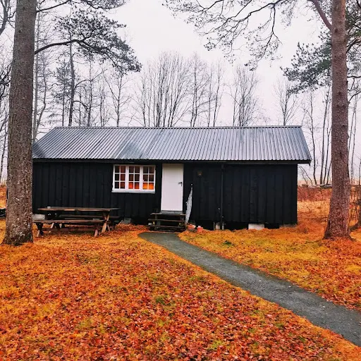 Shipping Container Homes